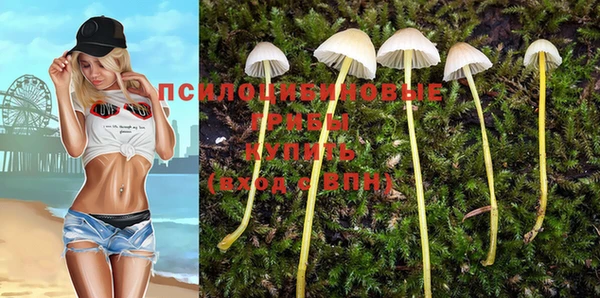 ALPHA PVP Беломорск
