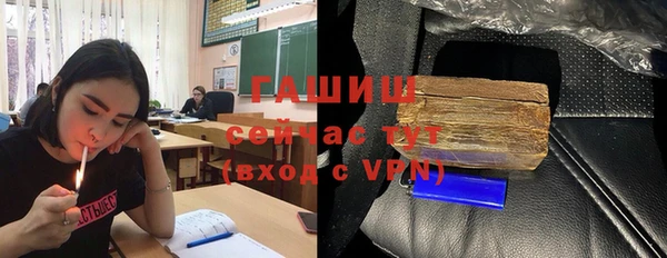 крисы Богородицк