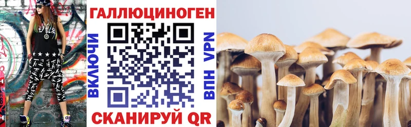 Галлюциногенные грибы GOLDEN TEACHER Губкинский